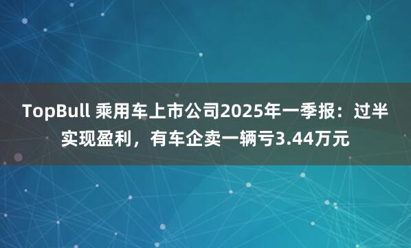 TopBull 乘用车上市公司2025年一季报：过半实现盈利，有车企卖一辆亏3.44万元