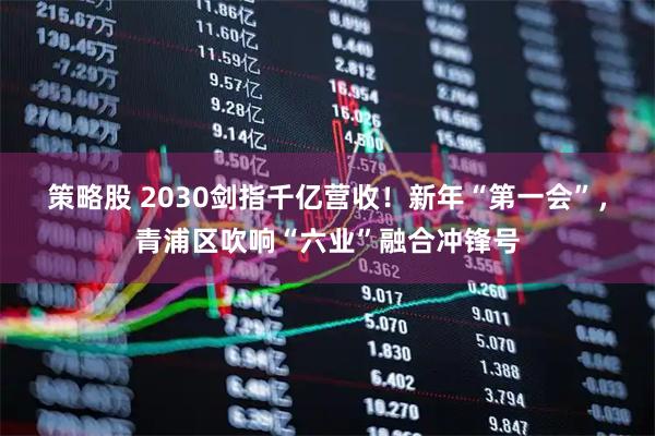 策略股 2030剑指千亿营收！新年“第一会”，青浦区吹响“六业”融合冲锋号