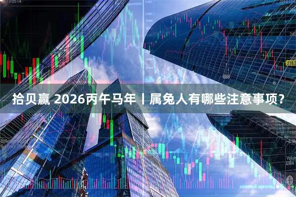 拾贝赢 2026丙午马年丨属兔人有哪些注意事项？