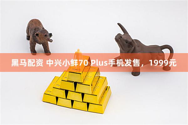 黑马配资 中兴小鲜70 Plus手机发售，1999元